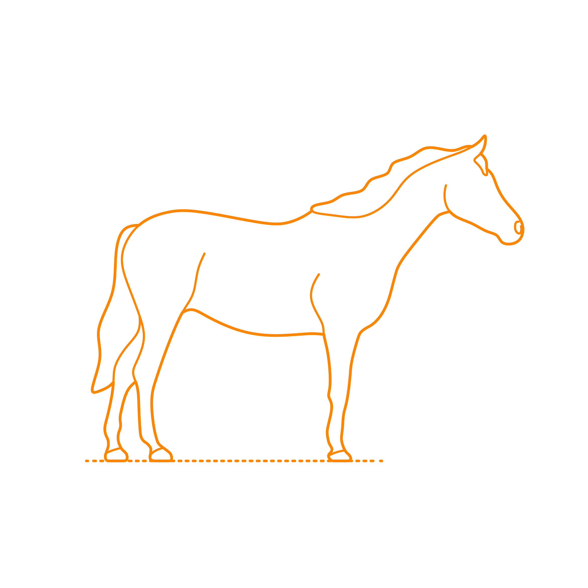Animals Horses Arabian Horse Outline Icon Svg Set Free Vectors